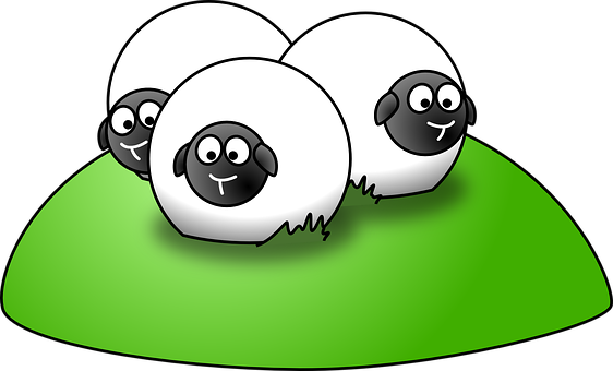sheep-35599__340